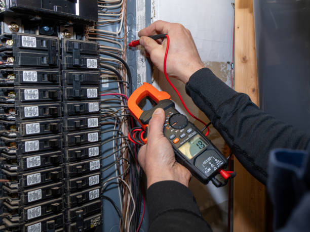 Best Ceiling Fan Installation Electrician  in Selbyville, DE